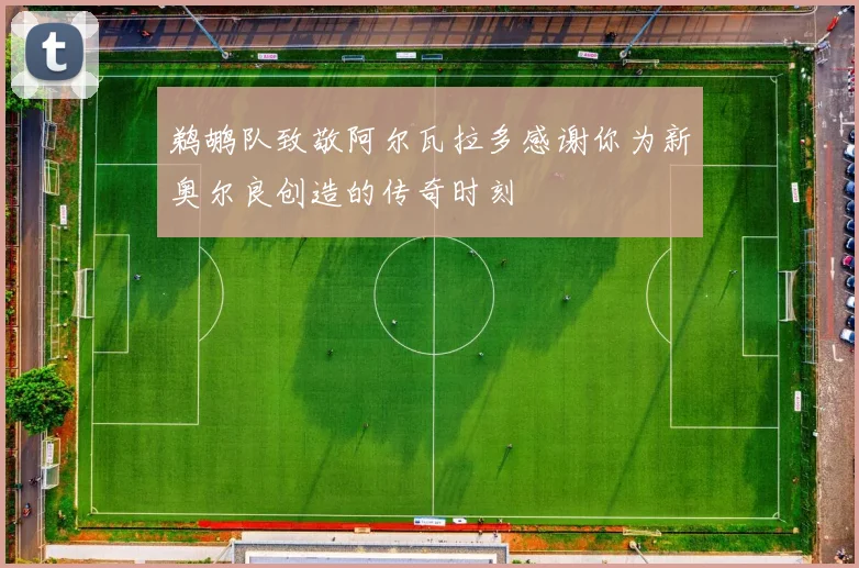 鹈鹕队致敬阿尔瓦拉多感谢你为新奥尔良创造的传奇时刻