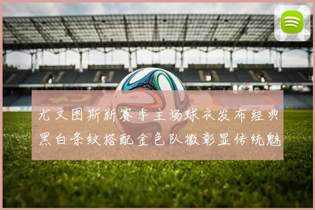 尤文图斯新赛季主场球衣发布经典黑白条纹搭配金色队徽彰显传统魅力