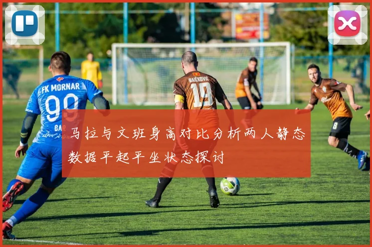 马拉与文班身高对比分析两人静态数据平起平坐状态探讨
