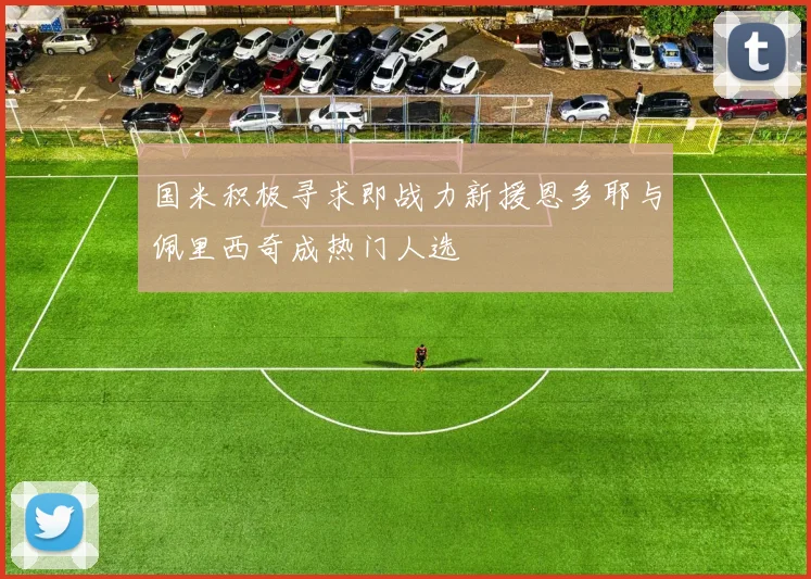 国米积极寻求即战力新援恩多耶与佩里西奇成热门人选